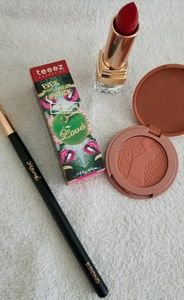 Tarte blush, Teeze lipstick